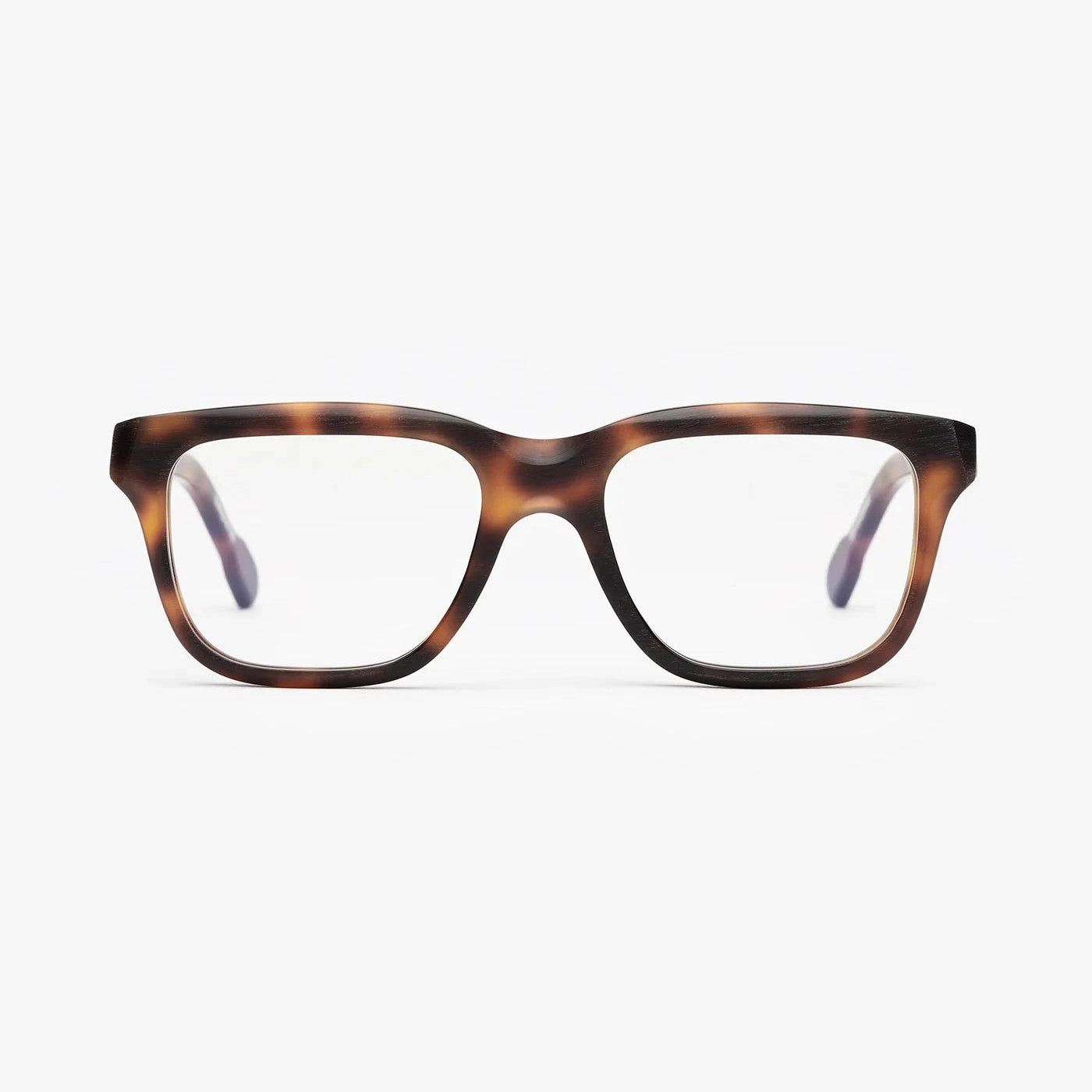 Portrait Eyewear The Editor